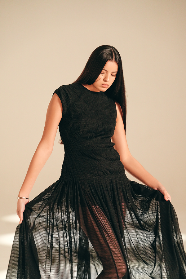 Imprint Pleated Dress Midnight nylon-mesh